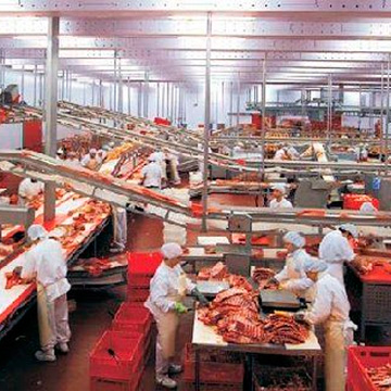 Мини-завод по переработке мяса
